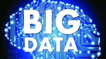 海關(guān)數(shù)據(jù)查詢(xún)系統(tǒng)作用非常巨大