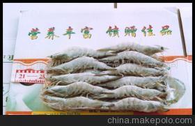 【南美對(duì)蝦(圖)】?jī)r(jià)格,廠家,圖片,蝦類(lèi),湛江市霞山區(qū)鑫昌水產(chǎn)品貿(mào)易-
